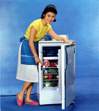 富士電気冷蔵庫