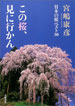 「この桜、見に行かん　日本の桜ベスト３０」