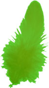 「緑の羽根」